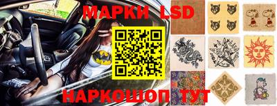 сатива Новозыбков